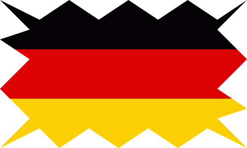 flag image